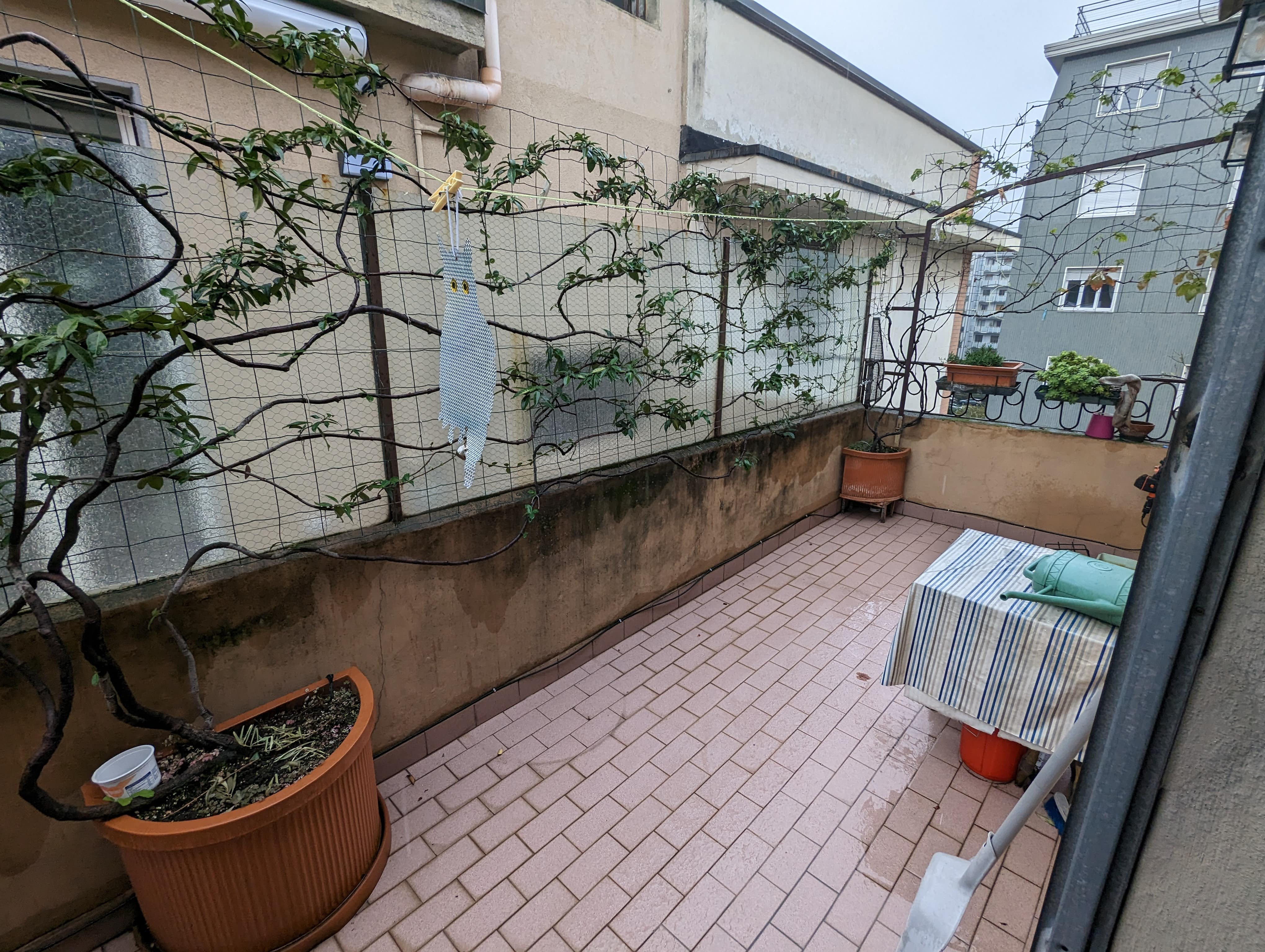 PXL 20221115 110923955 min