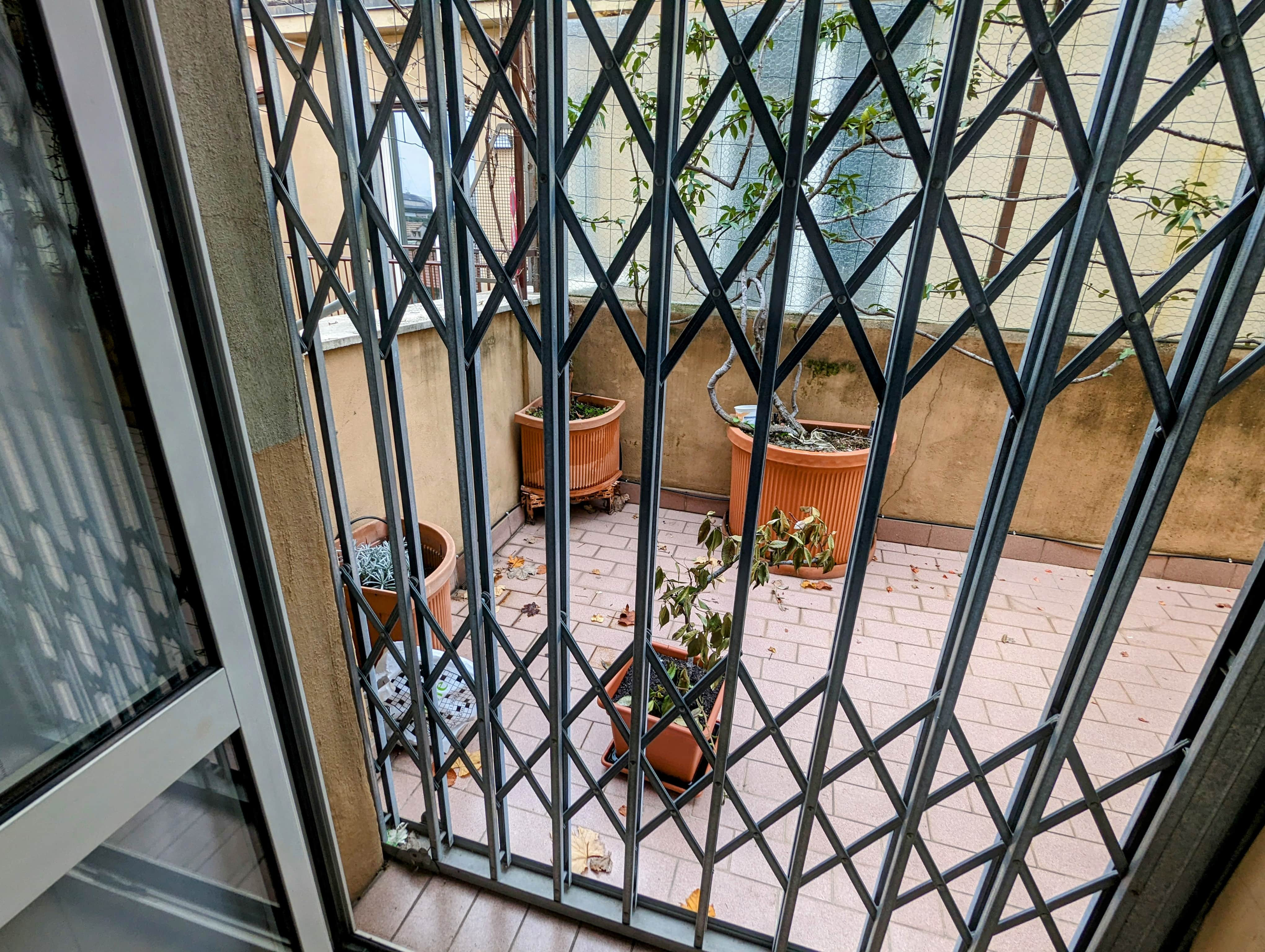 PXL 20221213 113527593~2 min